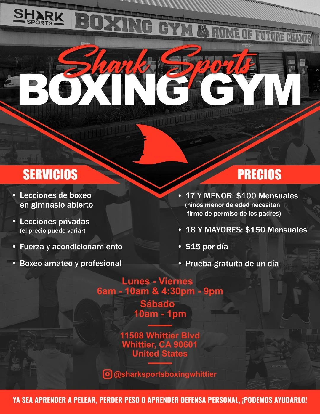 Shark Sports Boxing Boxing Gym Whittier, California